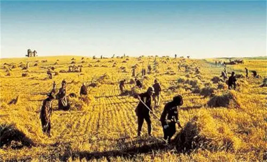 为什么反对农民退休