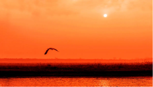 落霞与孤鹜齐飞出自哪首诗