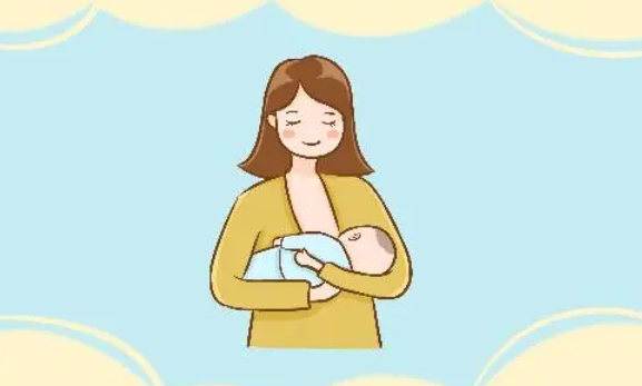 母乳是由什么转化而来的