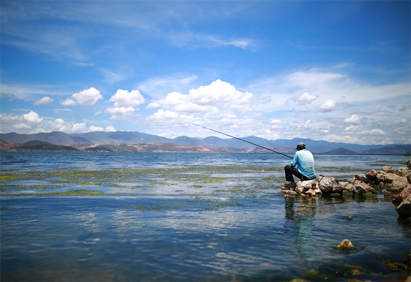 钓鱼为什么不要夜钓