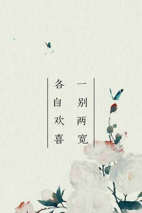 一别两宽各自安好的意思