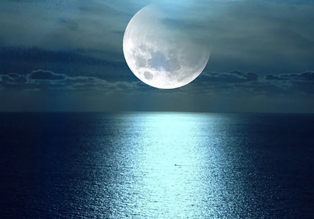 春江花月夜作者是谁