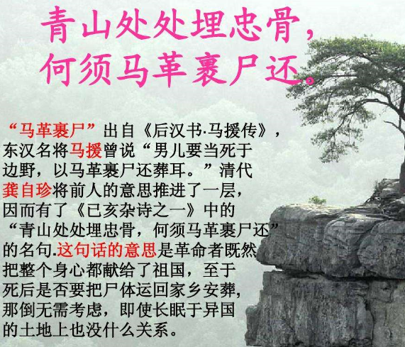 青山处处埋忠骨何须马革裹尸还的意思