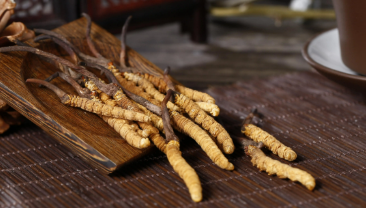 冬虫夏草是植物还是动物