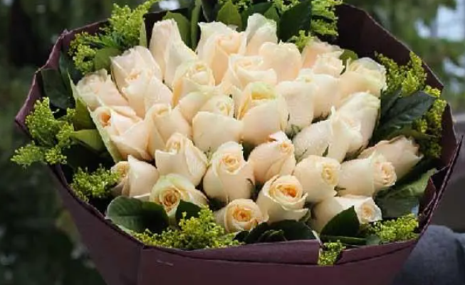 香槟玫瑰花花语是什么