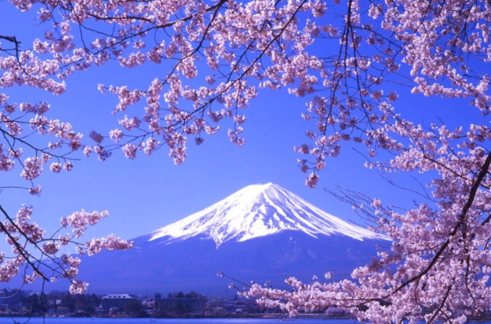 日本属于欧美还是亚洲