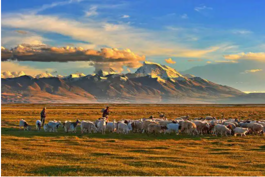 2021年是西藏和平解放多少周年