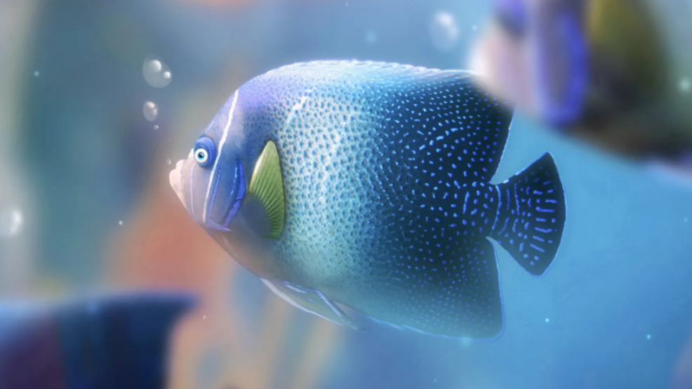 鱼类繁殖方式有哪几种