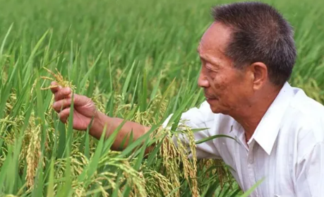 袁隆平是谁？