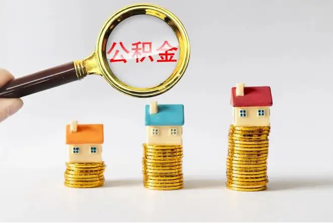 公积金缴费比例是多少