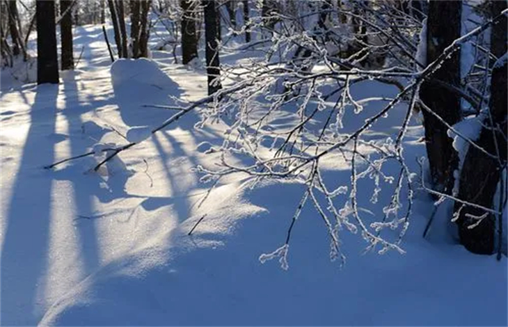 毛泽东几个孩子