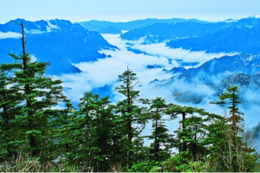 神农架在哪个市