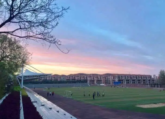 鲁迅美术学院是几本