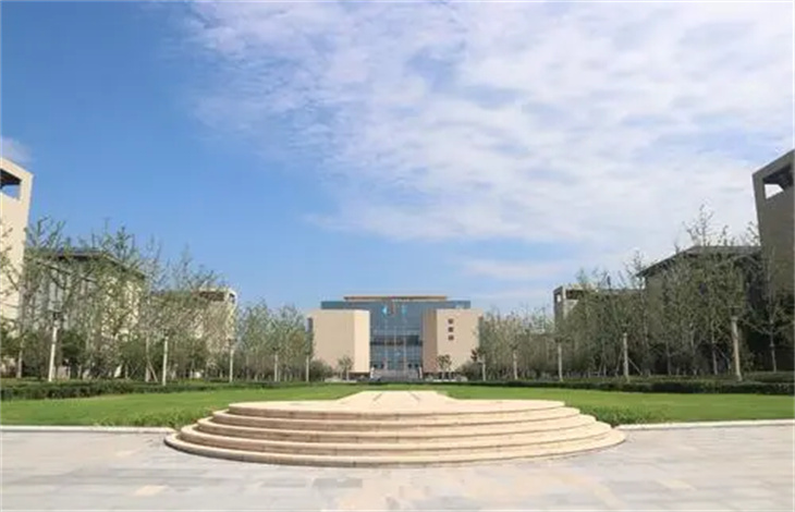 自主招生网上怎么报名