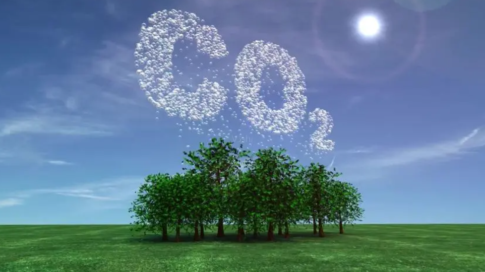 二氧化碳是酸性还是碱性