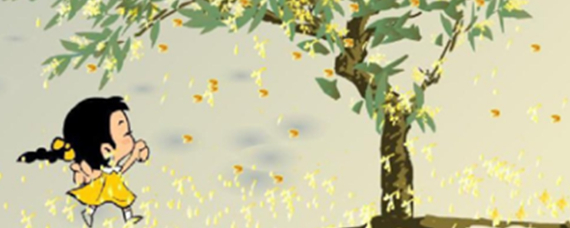 桂花雨的作者是谁