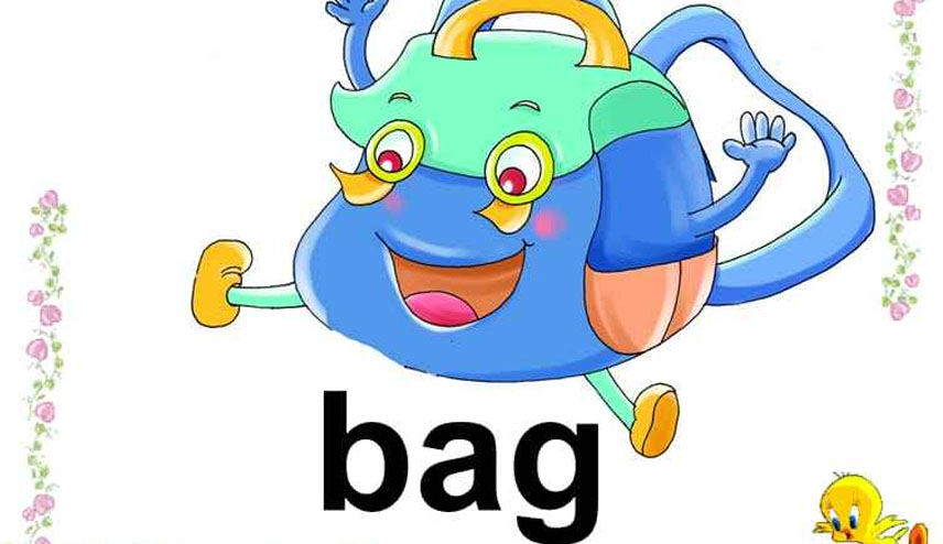bag是什么意思