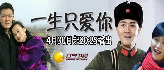 一生只爱你一共多少集