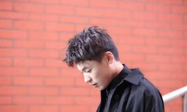 隔壁老樊在哪个大学