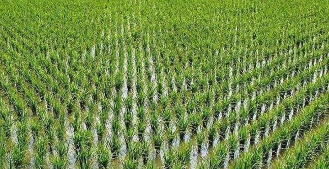 一平方公里多少平方千米