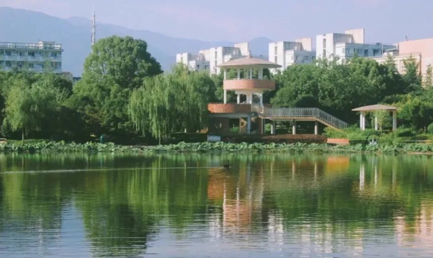 浙师大是一本还是二本