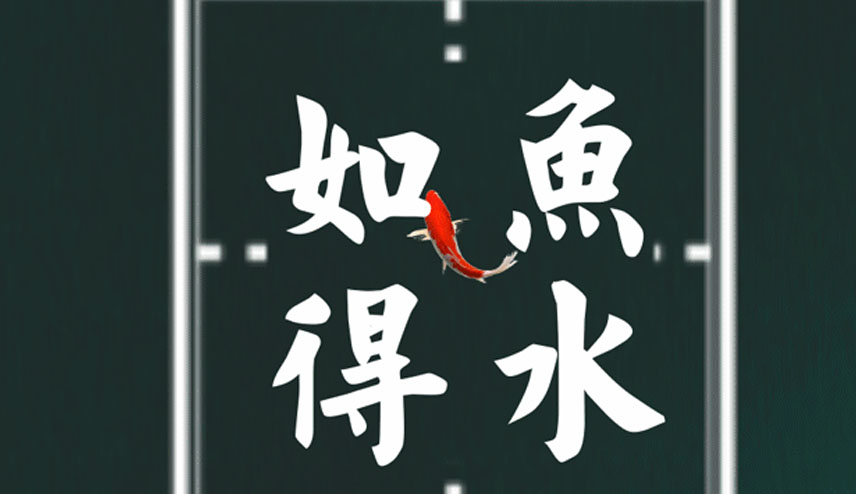 如鱼得水的意思
