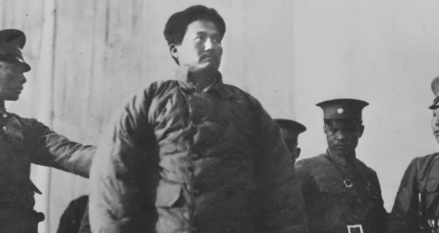 可爱的中国谁写的