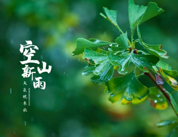 空山新雨后的下一句是什么