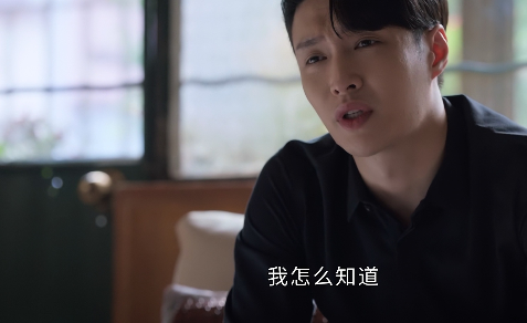 相逢时节灰灰是谁的孩子