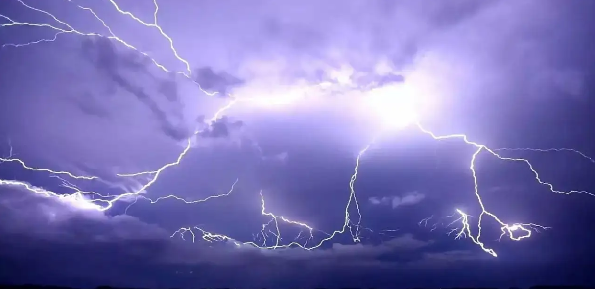 需要一半留一半打一字谜底是什么