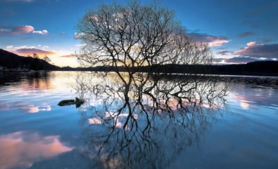 倒影是折射还是反射