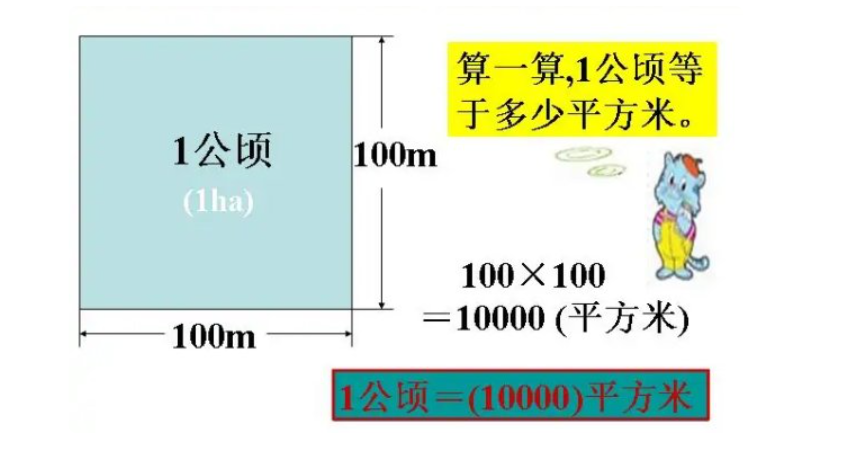 公顷大还是平方千米哪个大