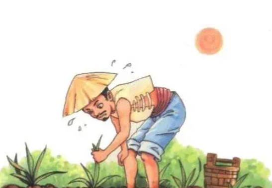 揠苗助长的意思是什么