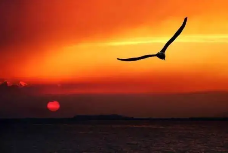 落霞与孤鹜齐飞这句话出自哪首诗