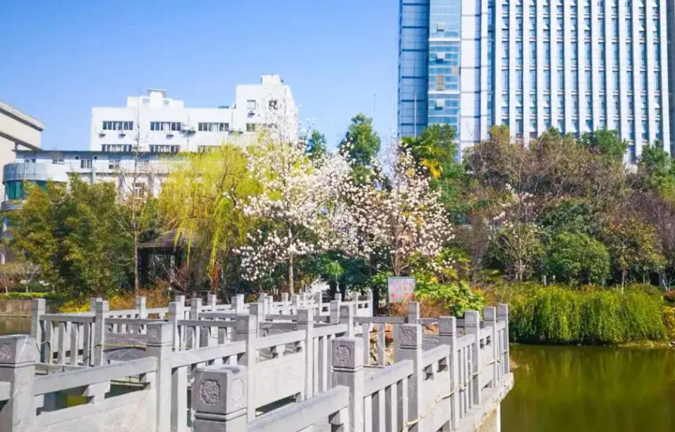 安徽医科大学是几本