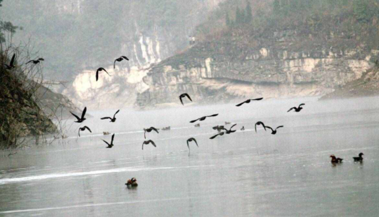 六根清净什么意思