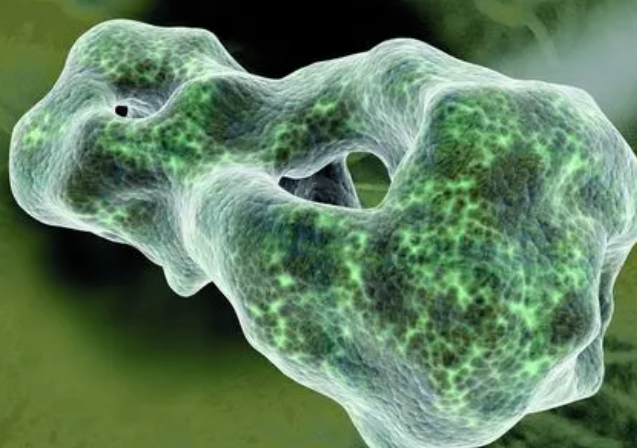 熔化是吸热还是放热