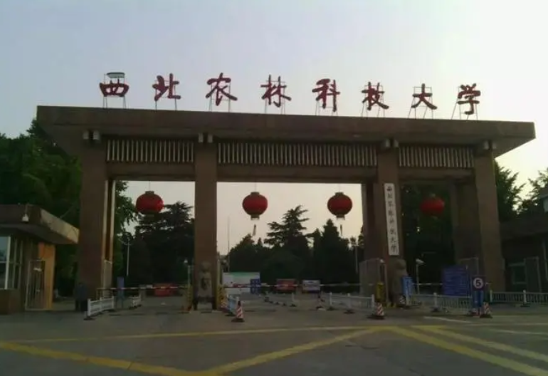 西北农林科技大学是985还是211