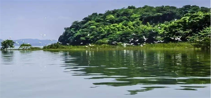 中国第一大淡水湖是哪个湖