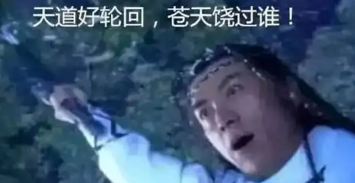 你看苍天饶过谁前一句