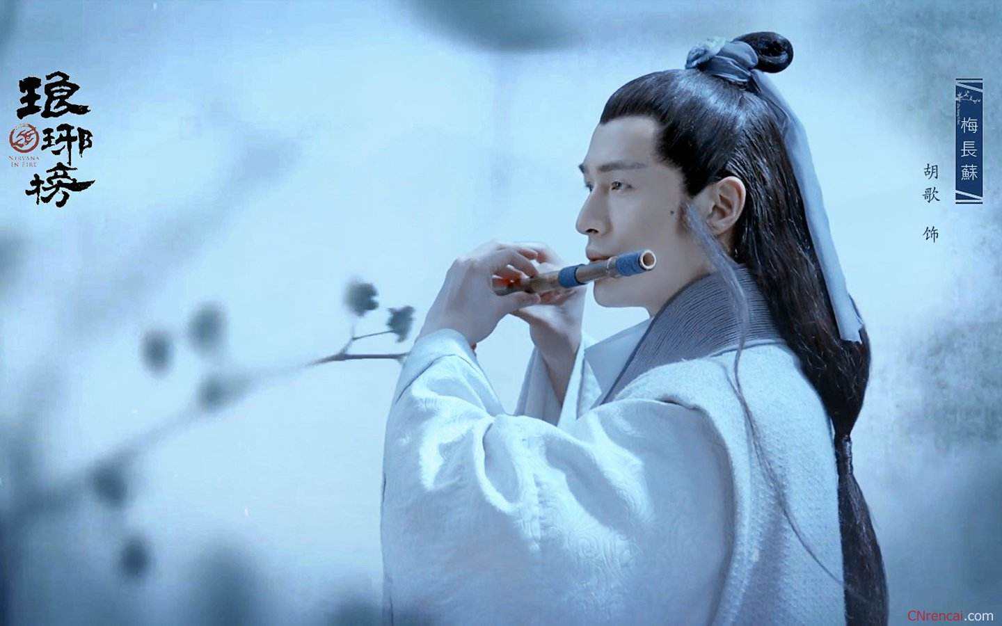 琅琊榜晋阳公主是谁