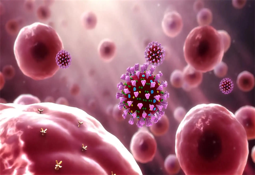 人体组织碎片是指什么