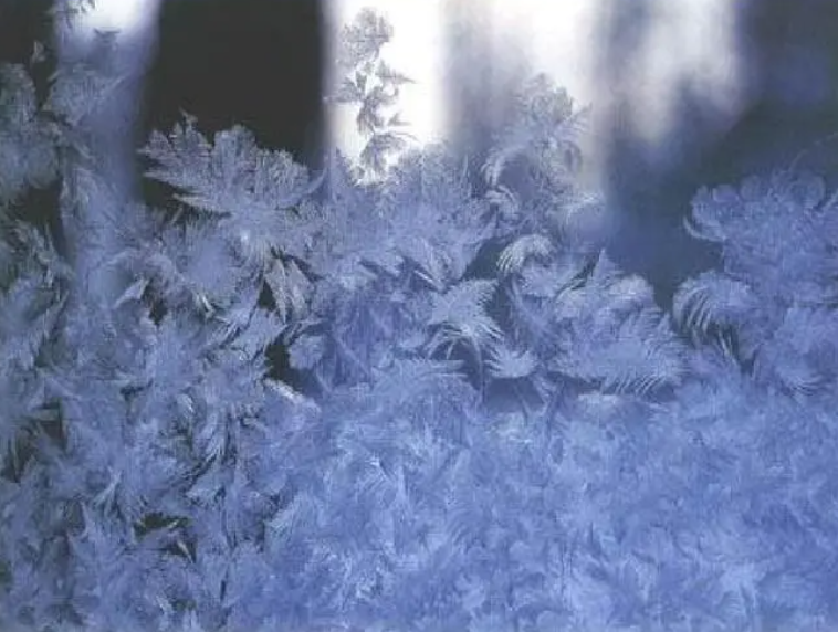 雪是凝华还是凝固