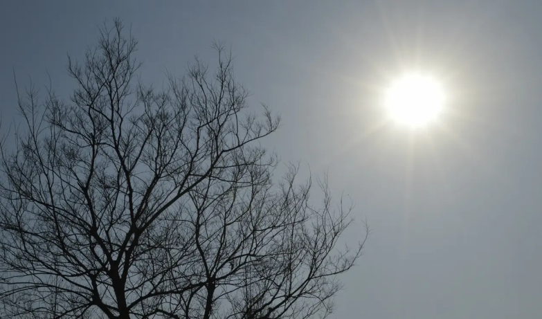 ustinian是什么意思