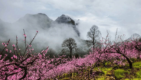 人间四月芳菲尽是什么意思