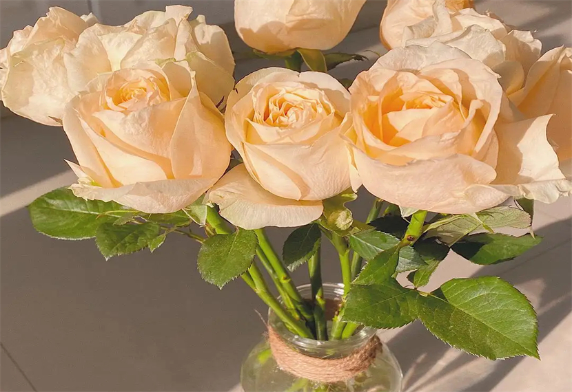 serendipity翻译是什么意思