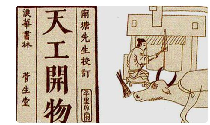 动物界潜水冠军之称的是什么