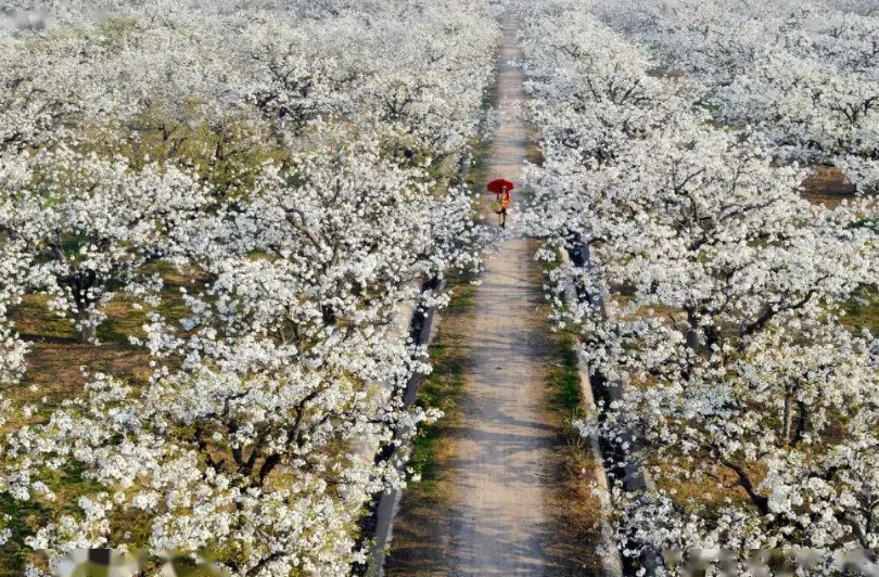 五省交界处是什么地方