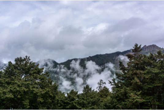 阿里山在哪里？