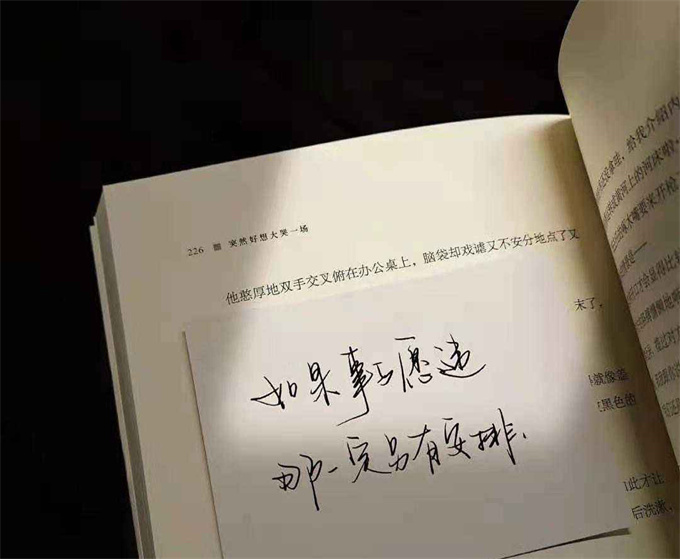 事与愿违是什么意思
